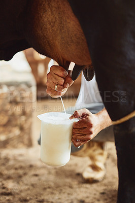 Buy stock photo Cropped shot of an unrecognizable male farmer milking a cow inside a barn