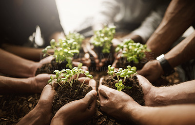 Buy stock photo Cropped shot of a group of people holding plants growing out of soil