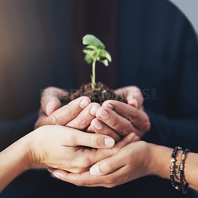 Buy stock photo Cropped shot of a group of unrecognizable businesspeople holding a seedling in their cupped hands