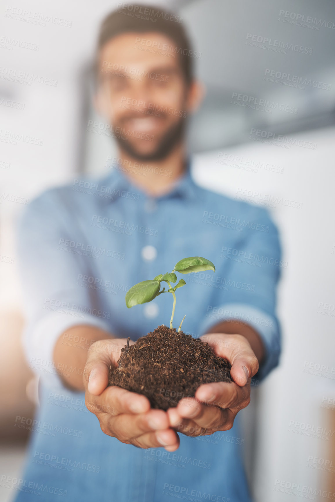 Buy stock photo Soil, hands and business man with seedling for company growth, investment or startup development. Entrepreneur, plant and palms of employee with fertiliser for profit, sustainability or opportunity