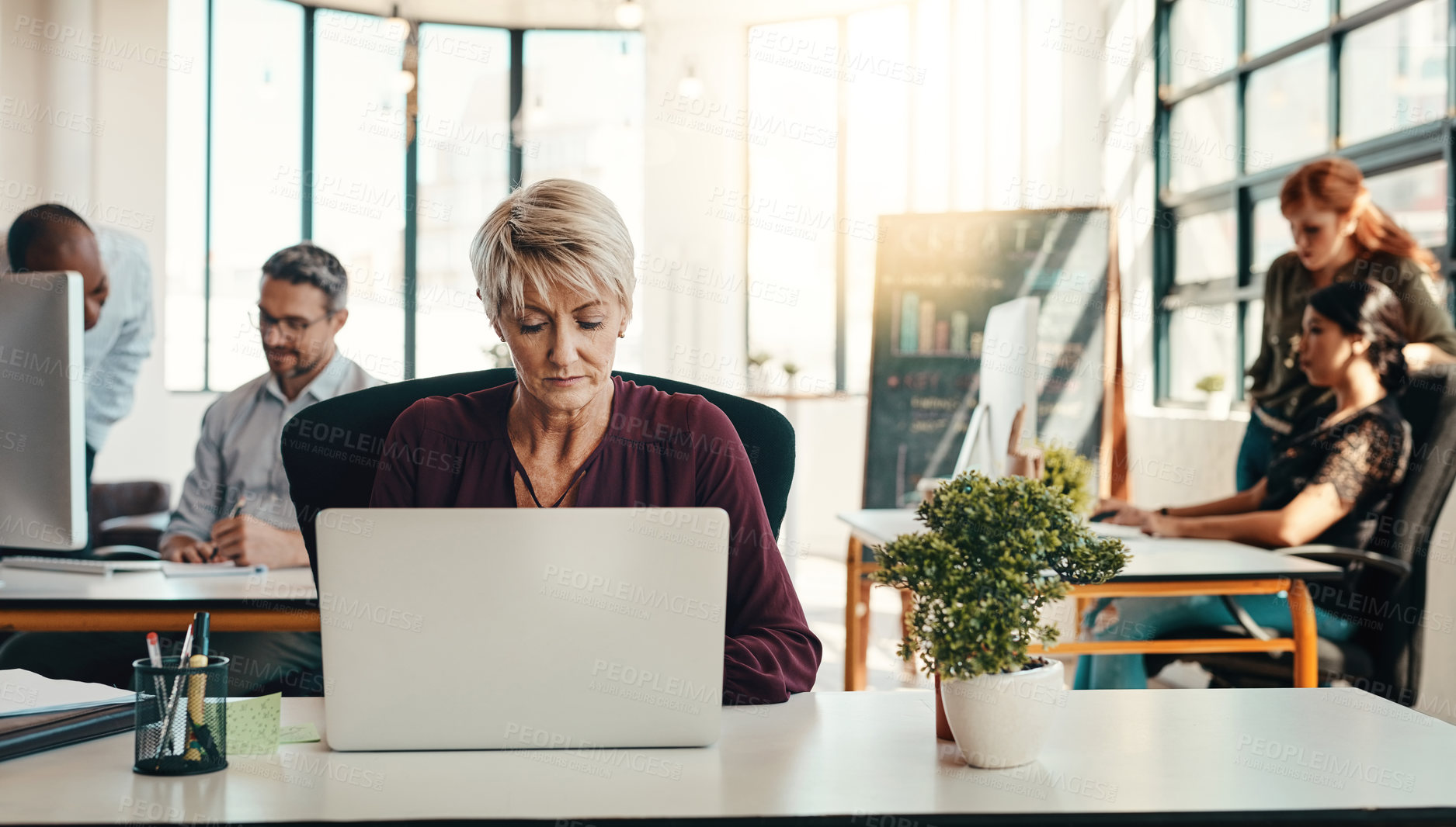 Buy stock photo Shot of a mature businesswoman using a laptop in a modern office with her colleagues in the background