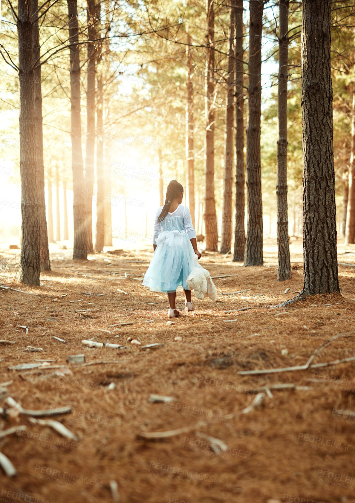 Buy stock photo Nature, walking and child with teddy bear in woods for playing, imagination or fantasy. Adventure, outdoor and back of girl kid with plush toy for exploring in forest with fairy dress costume.