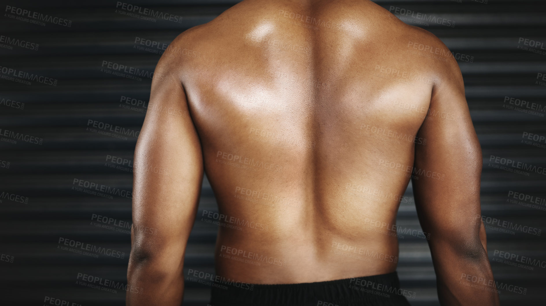 Buy stock photo Rear view, person and back for muscles, fitness and physical strength for workout and bodybuilding. Body, exercise and skin for wellness or ripped for health, gym or active for strong on mockup