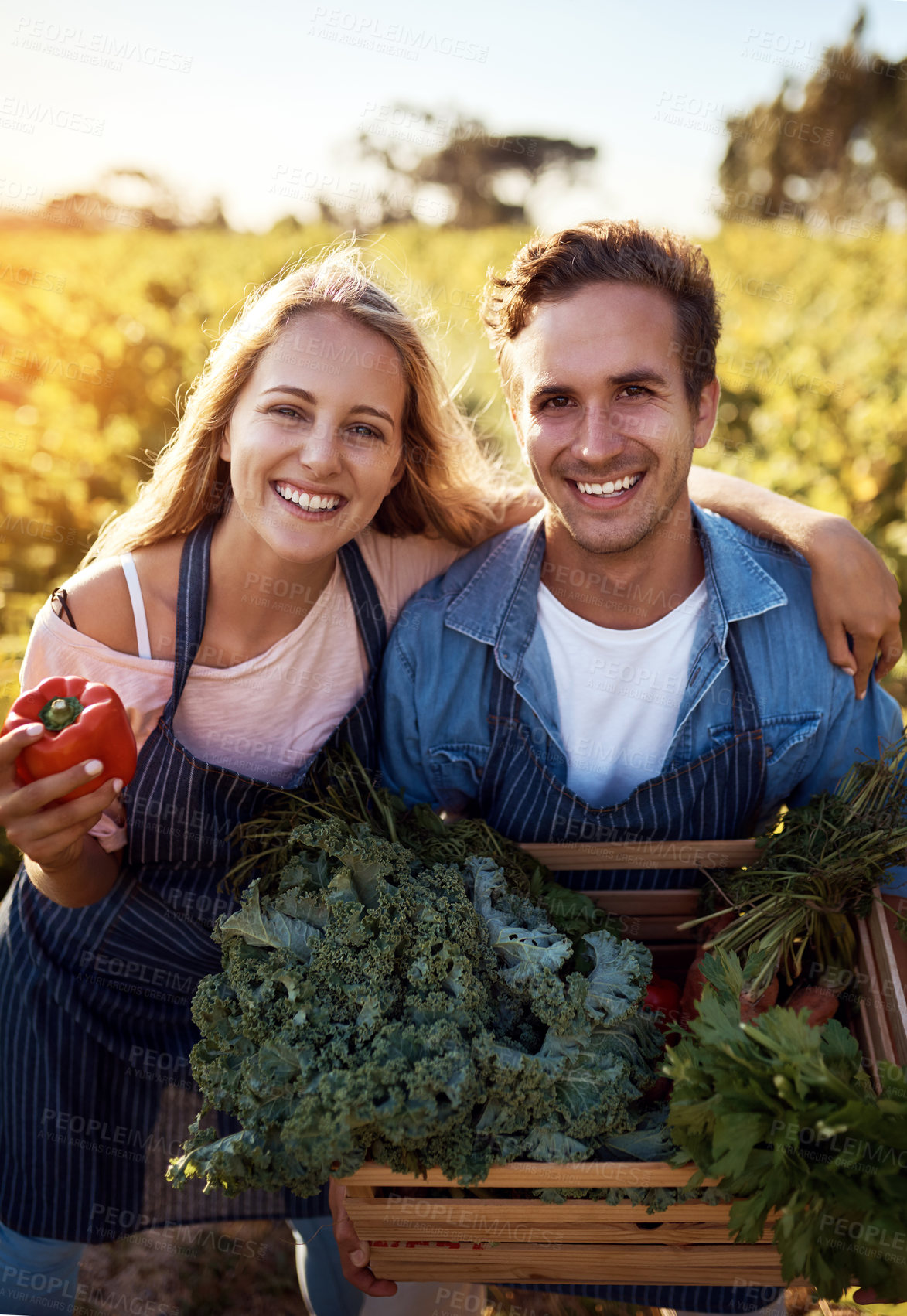 Buy stock photo Box, farm and pepper with portrait of couple outdoor together for organic food, growth or produce. Love, season or smile with happy man and woman holding crate of vegetables for agriculture harvest