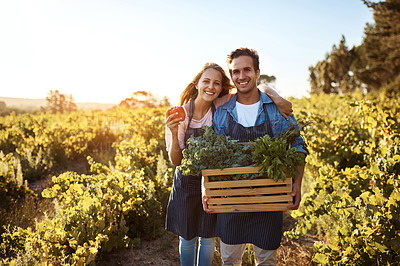 Buy stock photo Crate, farm and pepper with portrait of couple outdoor together for organic food, growth or produce. Agriculture, love or smile with man and woman holding box of vegetables for harvest in season