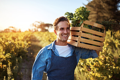 Buy stock photo Cropped portrait of a handsome young man holding a crate full of freshly picked produce on a farm