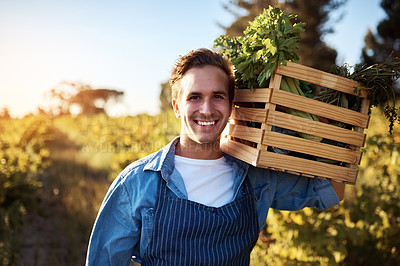 Buy stock photo Cropped portrait of a handsome young man holding a crate full of freshly picked produce on a farm