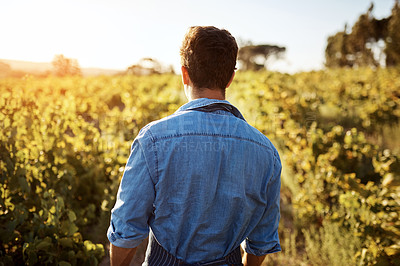 Buy stock photo Rearview shot of a young man holding a crate full of freshly picked produce on a farm