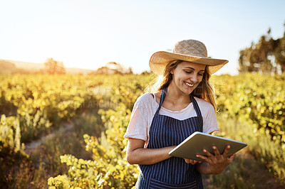 Buy stock photo Cropped shot of an attractive young woman using a digital tablet on a farm