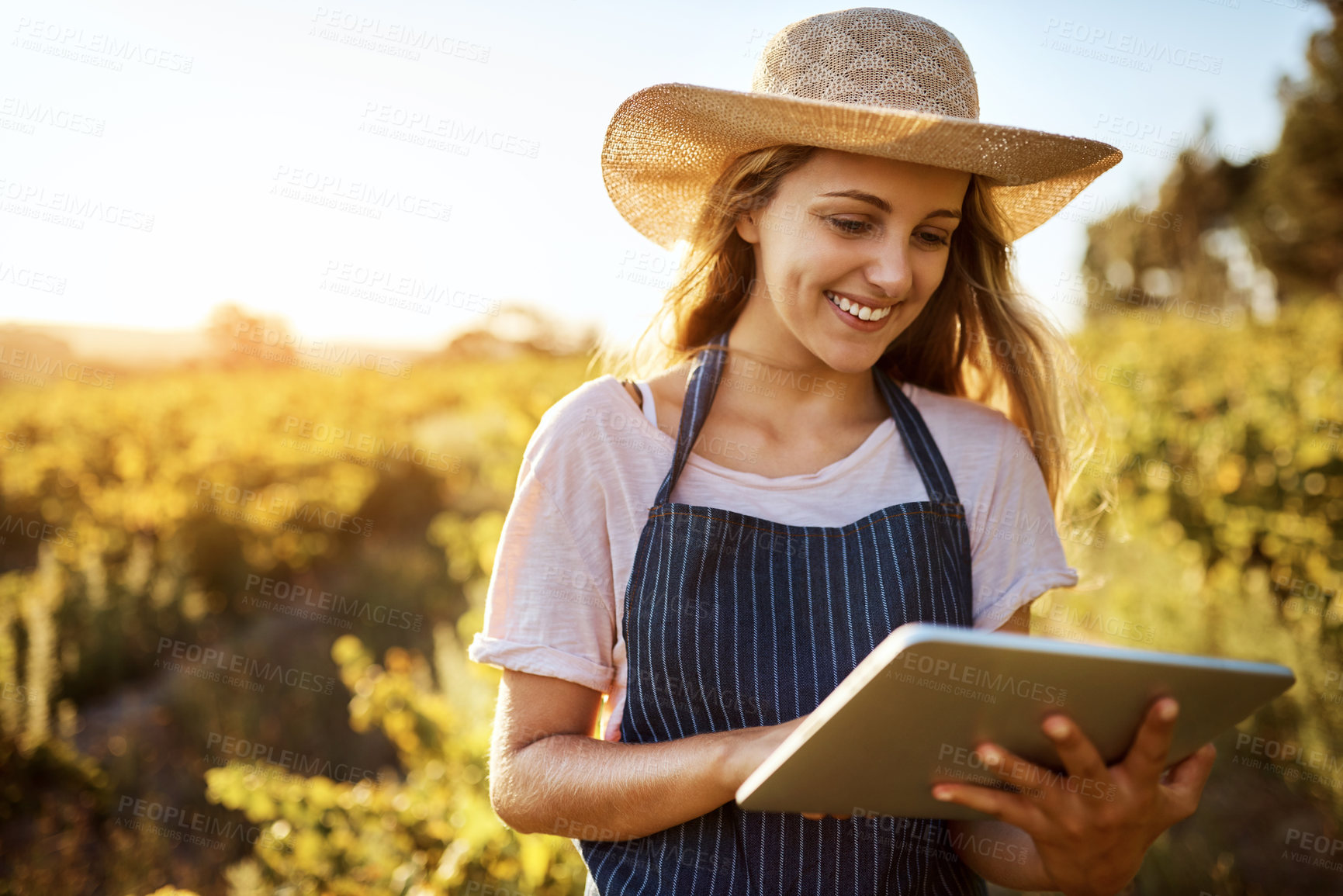 Buy stock photo Tablet, farmer and happy woman online for agriculture research, sustainability or plant growth outdoor at field. Digital technology, farm or person at countryside for planning food production or agro