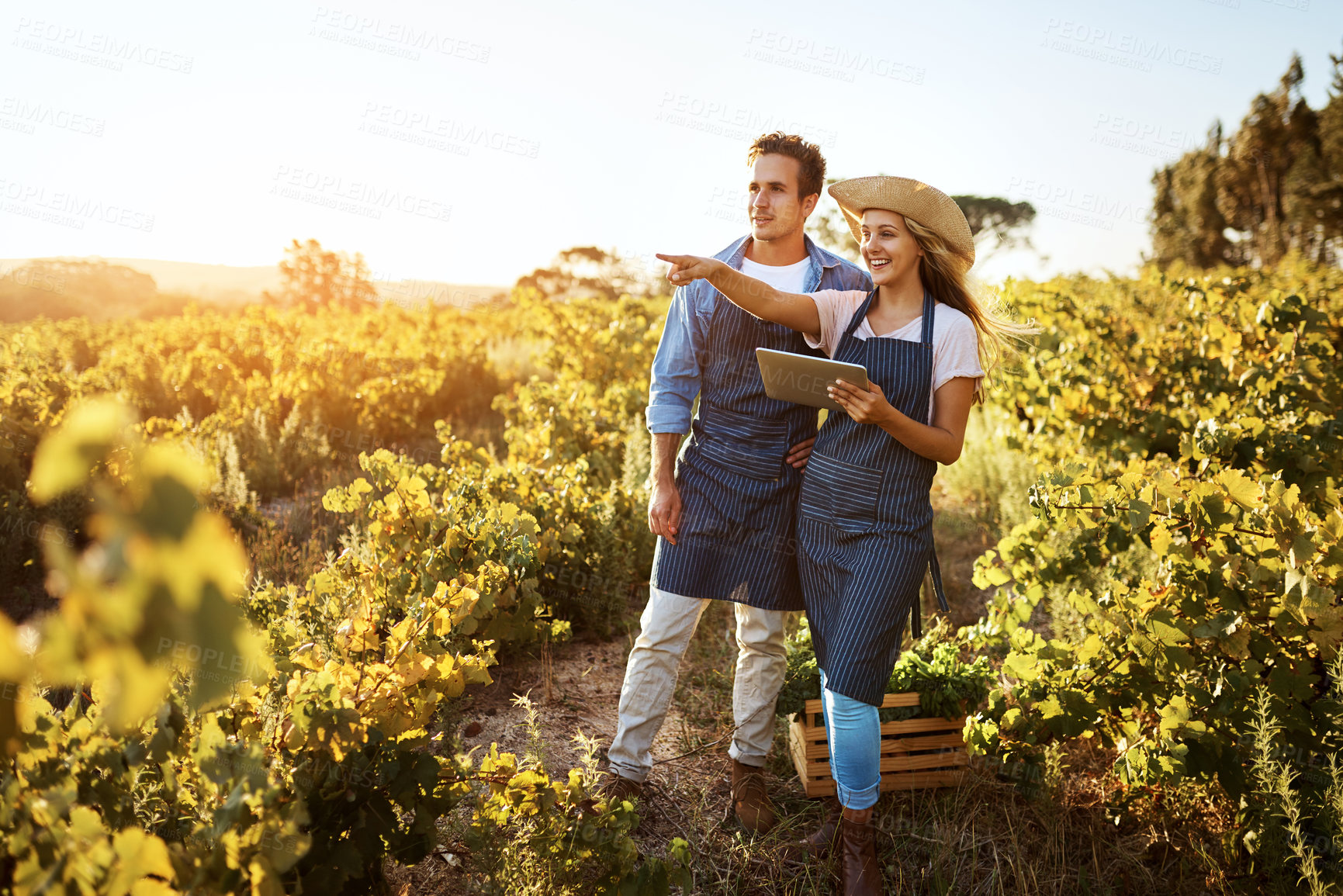 Buy stock photo Agriculture, pointing and tablet with couple on farm together for growth, harvest or sustainability. Agro, love or smile with man and woman outdoor in field for vegetables, ecology or inspection