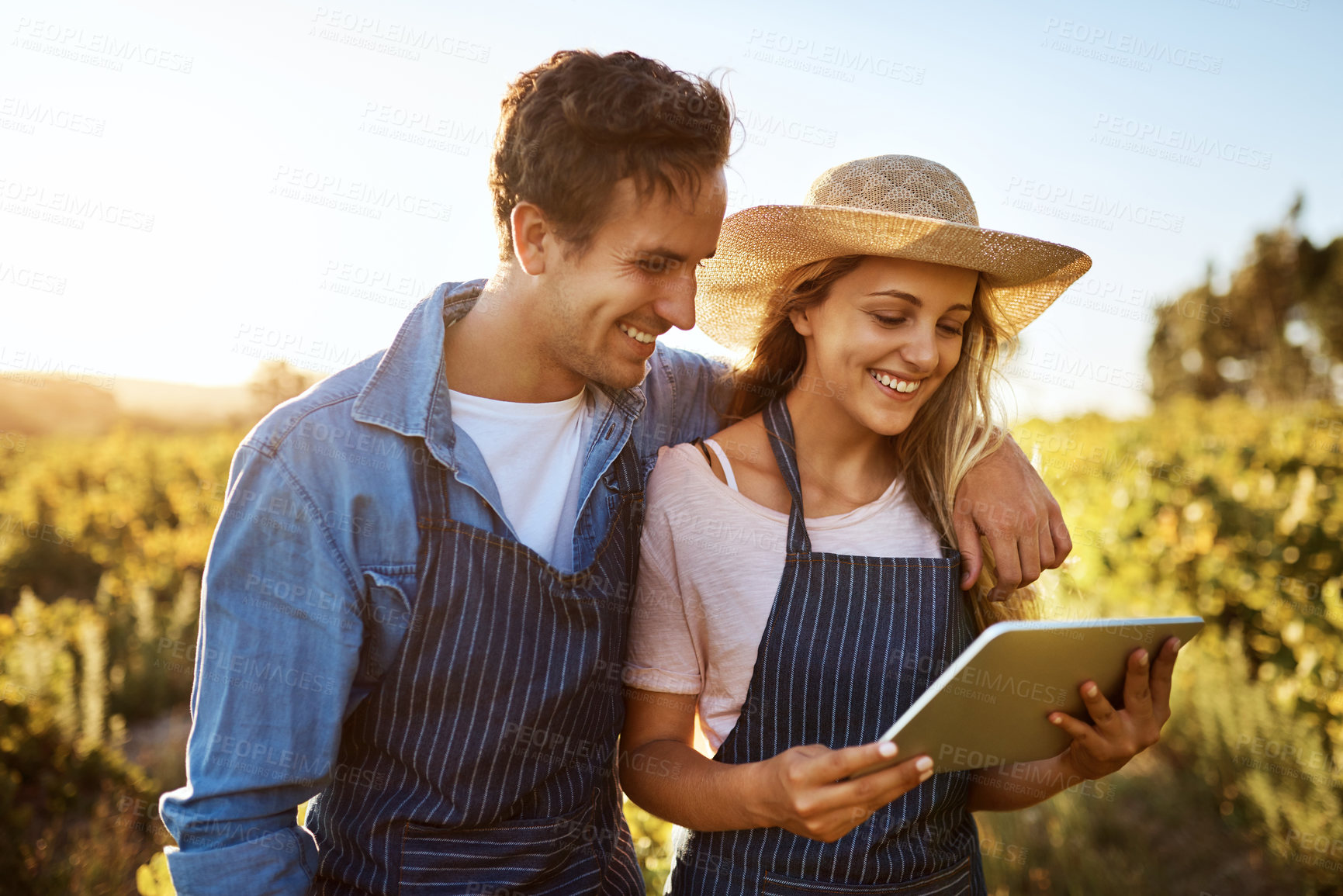 Buy stock photo Agriculture, love and tablet with couple on farm together for growth, harvest or sustainability. Agro, research or smile with man and woman outdoor in field for agribusiness, ecology or development