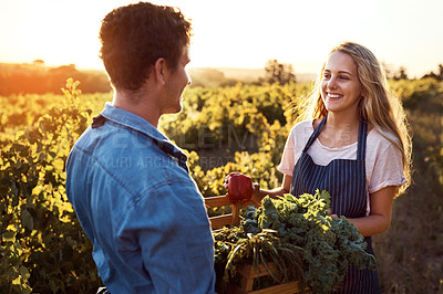 Buy stock photo Agriculture, growth and sustainability with couple on farm to harvest organic produce in season. Crate, help and vegetation with happy farmer people outdoor in countryside for agro or agribusiness