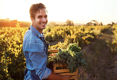 Buy stock photo Portrait, farmer and man with ecology, vegetables and agriculture with sunshine, harvest and sustainability. Organic produce, face and guy with fresh food, outdoor or nature with nutrition and plants