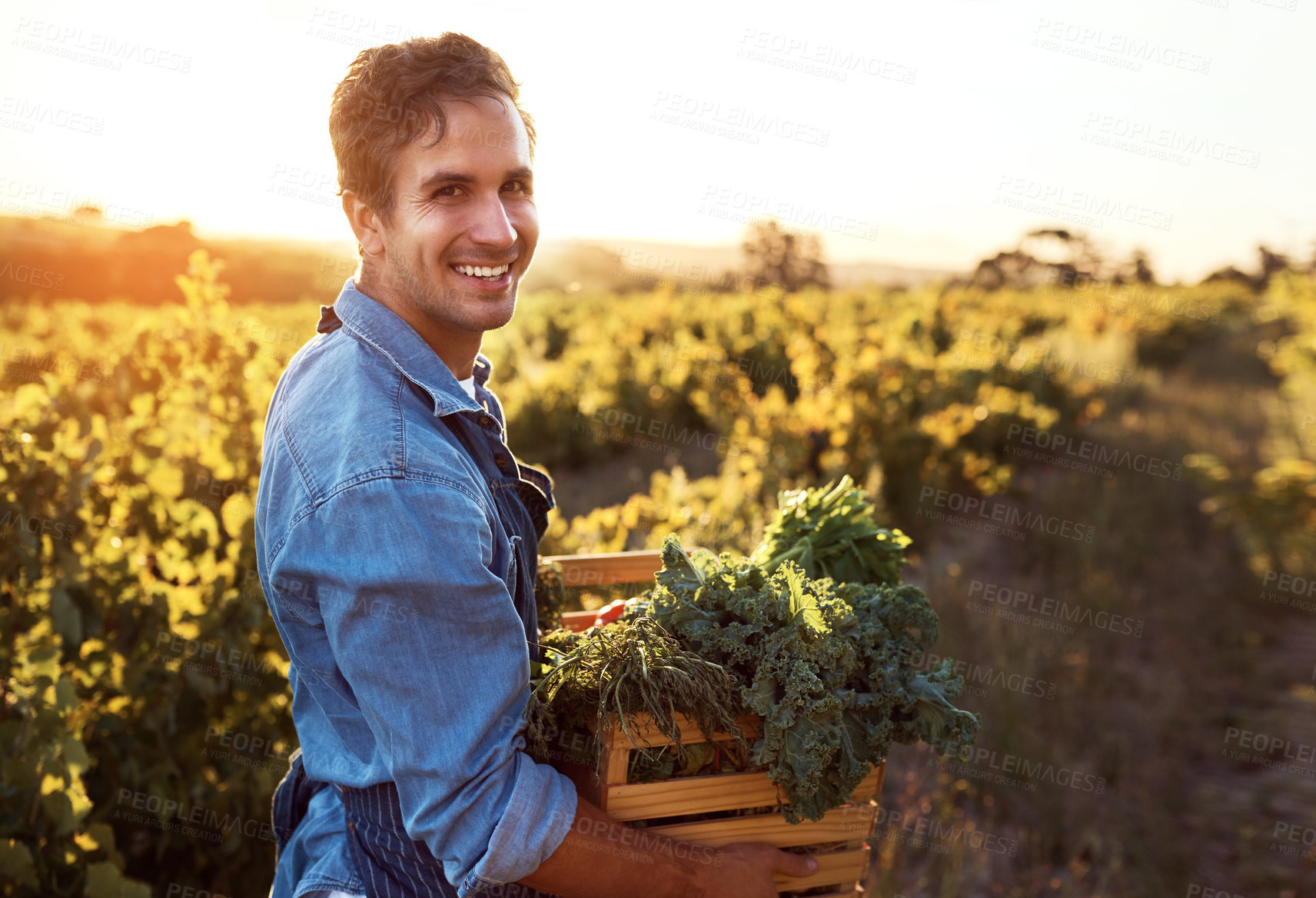 Buy stock photo Portrait, farmer and man with ecology, vegetables and agriculture with sunshine, harvest and sustainability. Organic produce, face and guy with fresh food, outdoor or nature with nutrition and plants