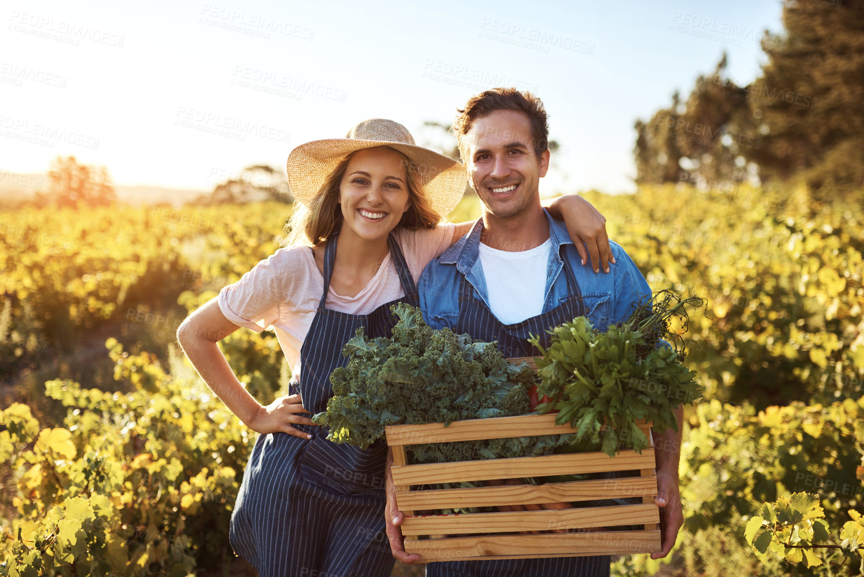 Buy stock photo Portrait, happy couple and together on farm with harvest, support and pride in countryside. Woman, man with crate and organic vegetables for stock, agriculture and teamwork in garden for produce