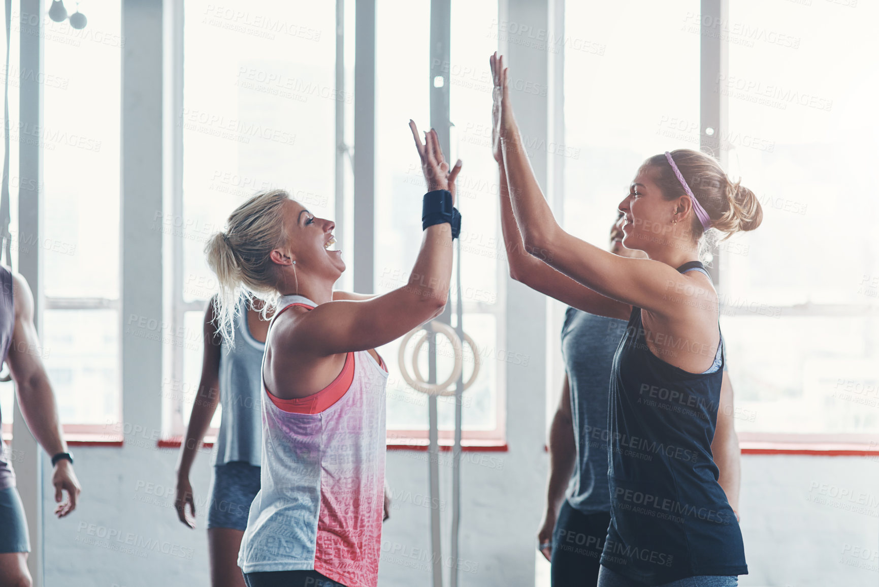 Buy stock photo Celebration, gym and women with high five, fitness and clapping for success, athlete and club for sports. Congratulations, happy and applause for exercise, practice and people together for workout