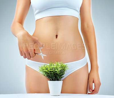 Buy stock photo Panties, potted plant and woman with scissors in studio for feminine hygiene, trimming or grooming on gray background. Wellness, body and model in underwear for cleaning, hair removal or maintenance