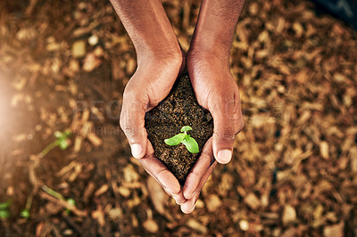 Buy stock photo Hands, person and plant support in soil with earth day, environment growth and volunteer of ngo business. Palm, holding leaf and and wellness care for agriculture, helping and saving opportunity