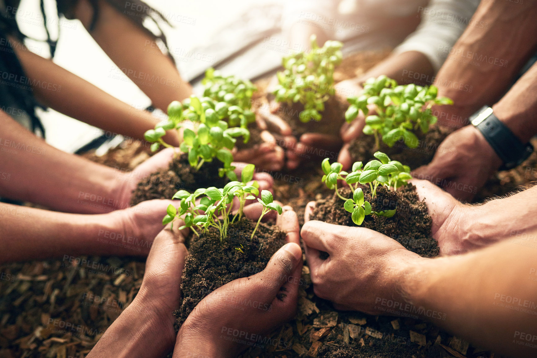 Buy stock photo Hands, circle and people with plants in soil for earth day, environment growth and teamwork of ngo business. Palm, agro group and collaboration for leaf agriculture, helping and investing opportunity