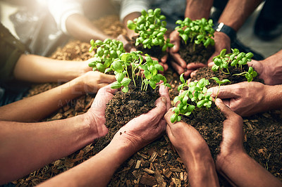 Buy stock photo High angle shot of a group of unrecognizable people holding plants growing in soil