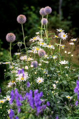 Buy stock photo A series of beautiful garden photos