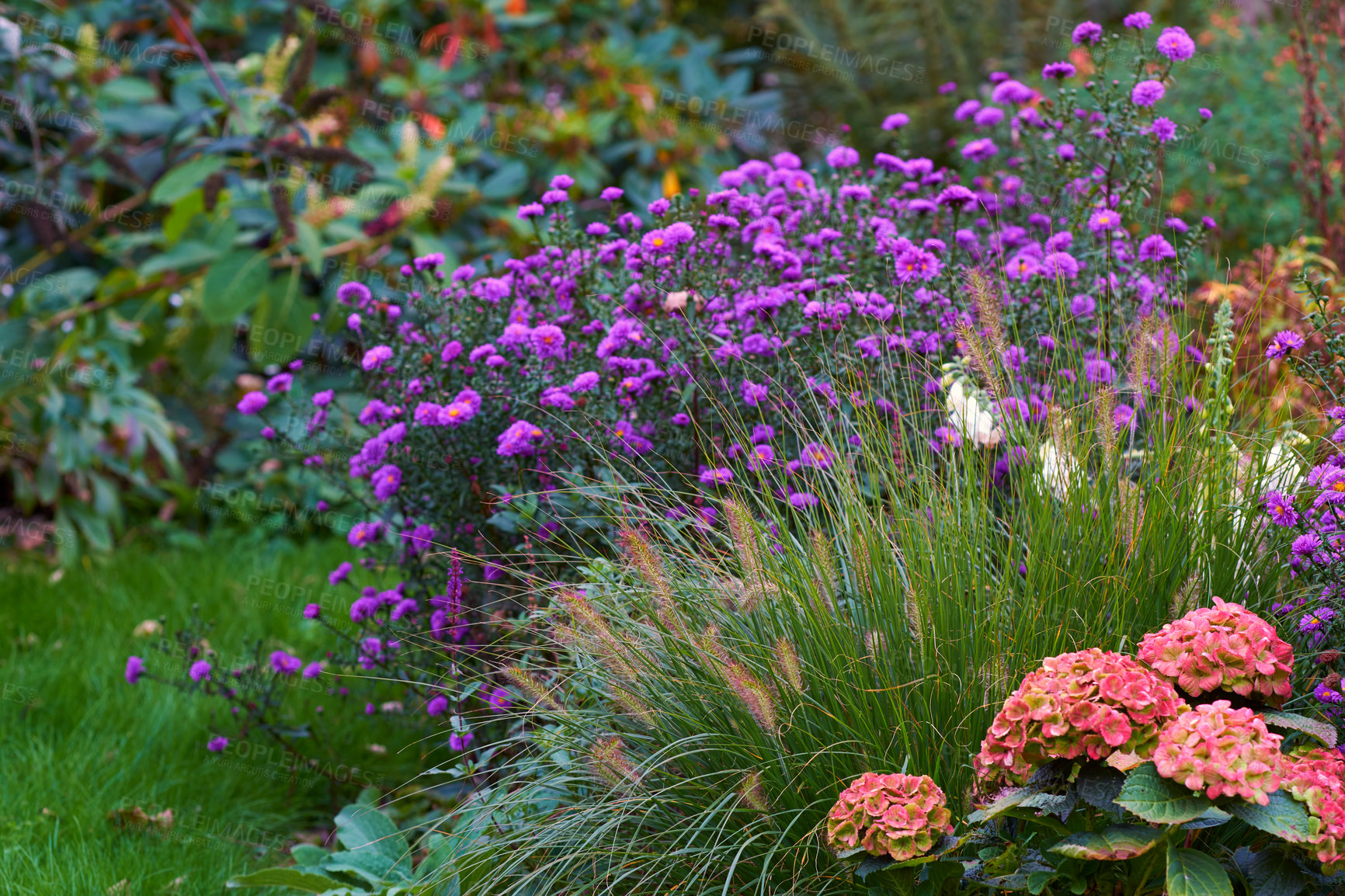 Buy stock photo A series of beautiful garden photos