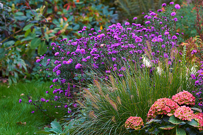 Buy stock photo A series of beautiful garden photos