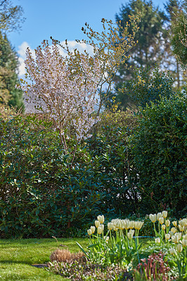 Buy stock photo A series of beautiful garden photos