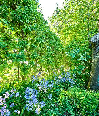 Buy stock photo A series of beautiful garden photos