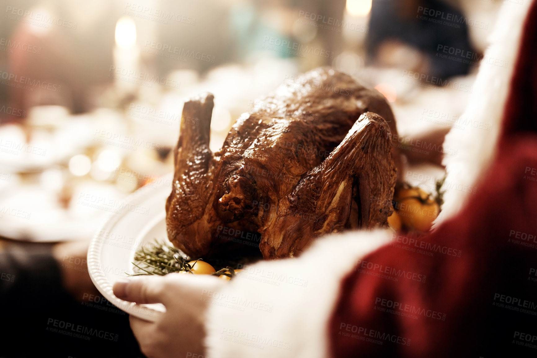 Buy stock photo Cropped shot of an unrecognizable person in a Santa suit serving a roasted turkey at Christmas lunch