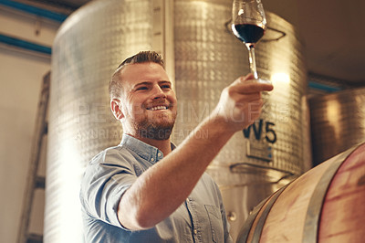 Buy stock photo Basement, glass and smile with man in wine cellar for industry, manufacturing or production. Barrel, business and storage with proud sommelier at winery for distillation or fermentation of alcohol