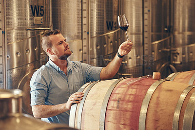 Buy stock photo Basement, glass and test with man in wine cellar for manufacturing or production. Barrel, business and storage with professional sommelier at winery for distillation or fermentation of alcohol