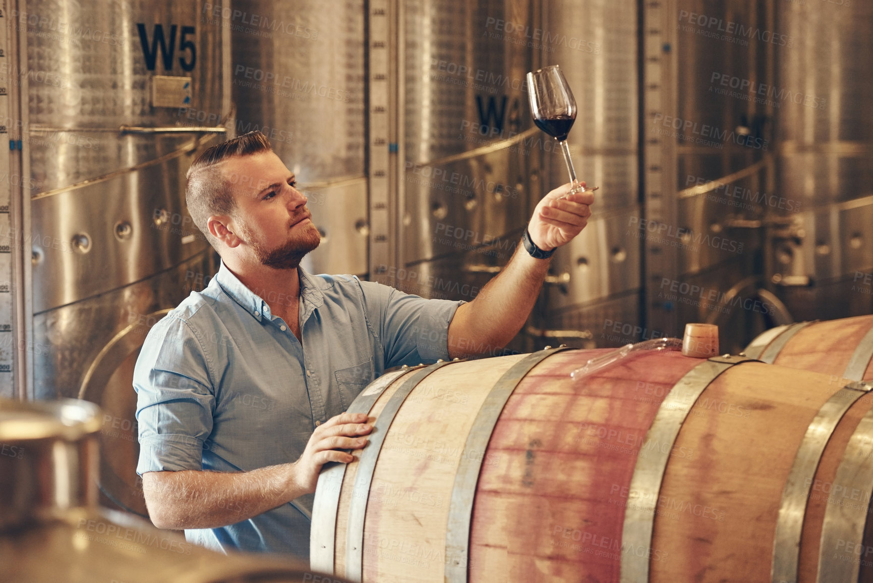 Buy stock photo Basement, glass and test with man in wine cellar for manufacturing or production. Barrel, business and storage with professional sommelier at winery for distillation or fermentation of alcohol