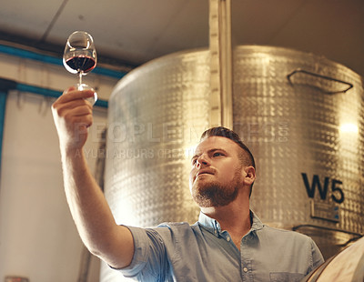 Buy stock photo Basement, drink and glass with man in wine cellar for industry, manufacturing or production. Barrel, business and storage with serious sommelier at winery for distillation or fermentation of alcohol