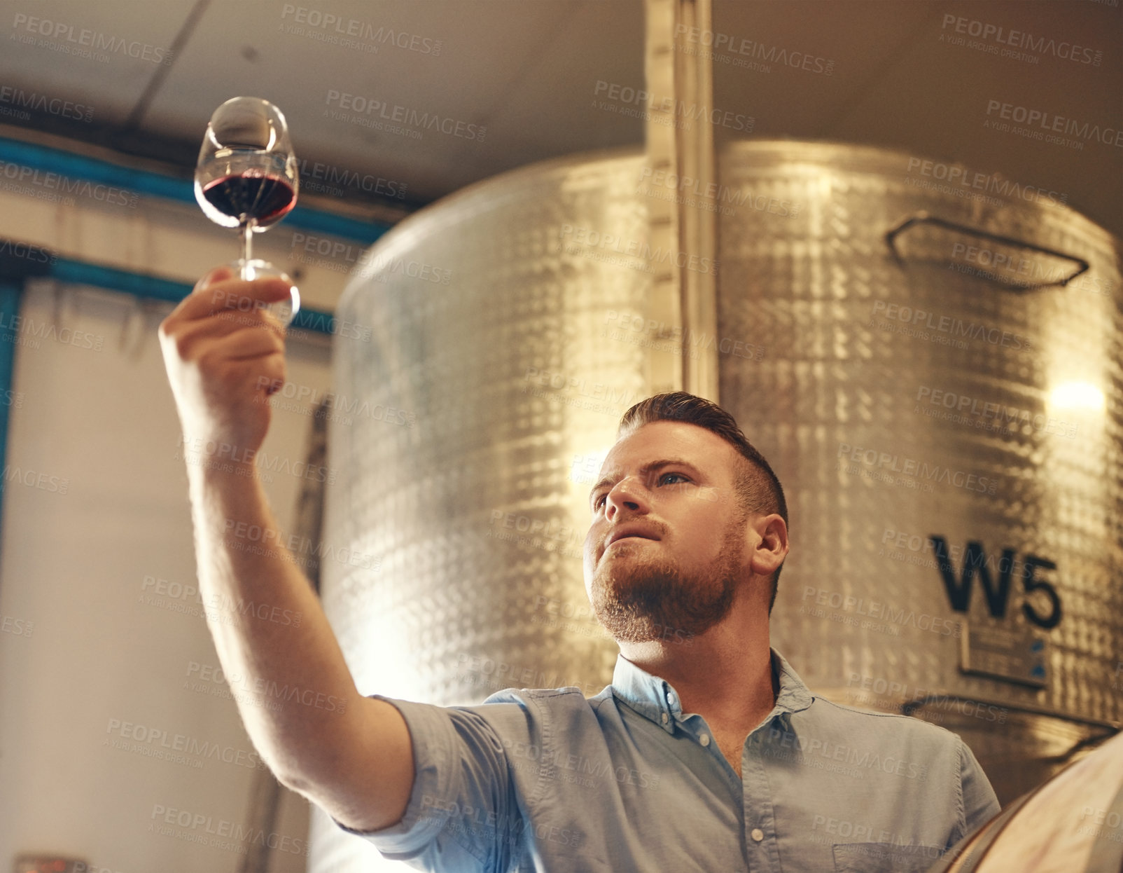 Buy stock photo Basement, drink and glass with man in wine cellar for industry, manufacturing or production. Barrel, business and storage with serious sommelier at winery for distillation or fermentation of alcohol