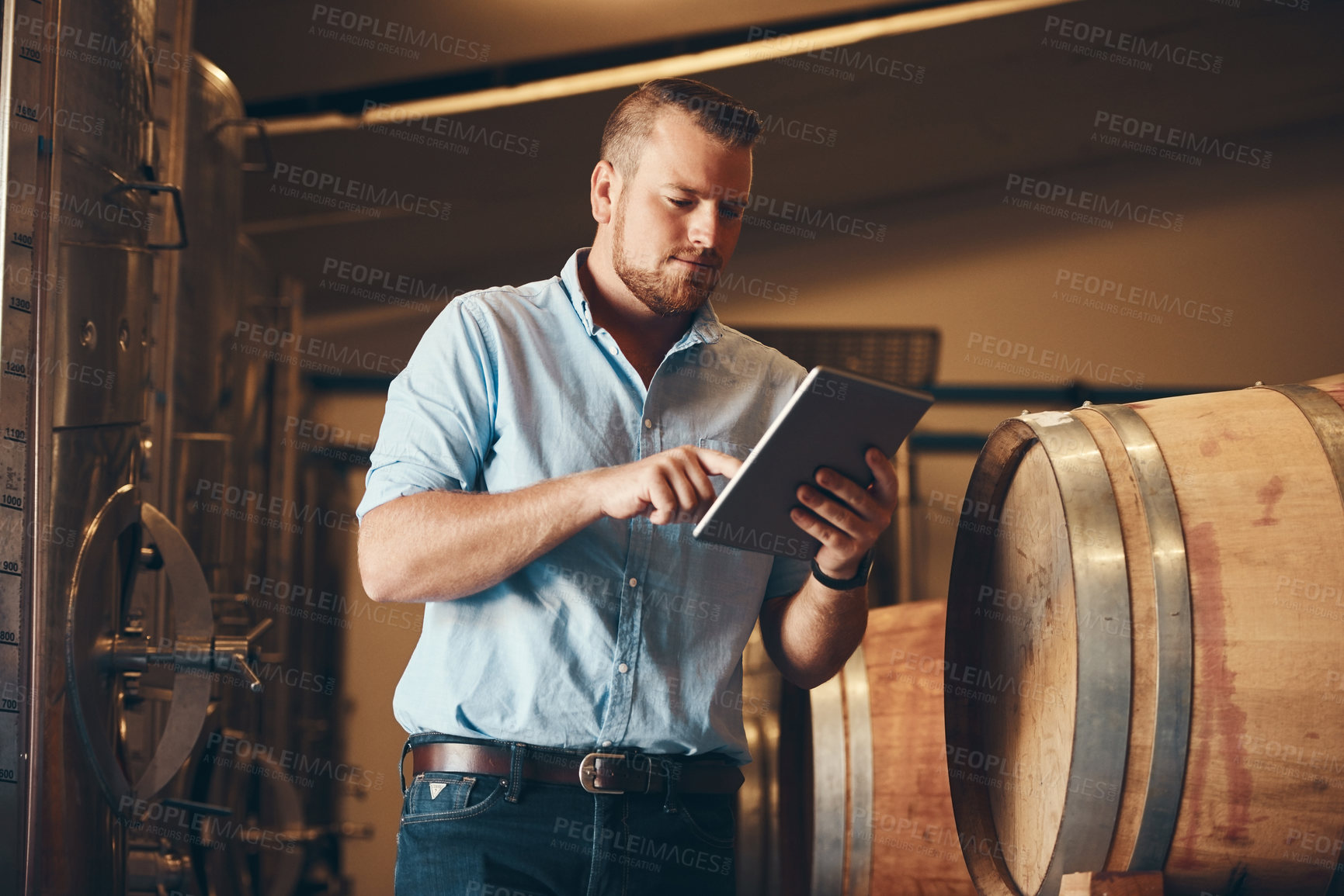 Buy stock photo Employee, man and browsing tablet in brewery as manager with research on product, process or schedule for supplier. Business, barrel and network for beer production, manufacturing or craft in factory