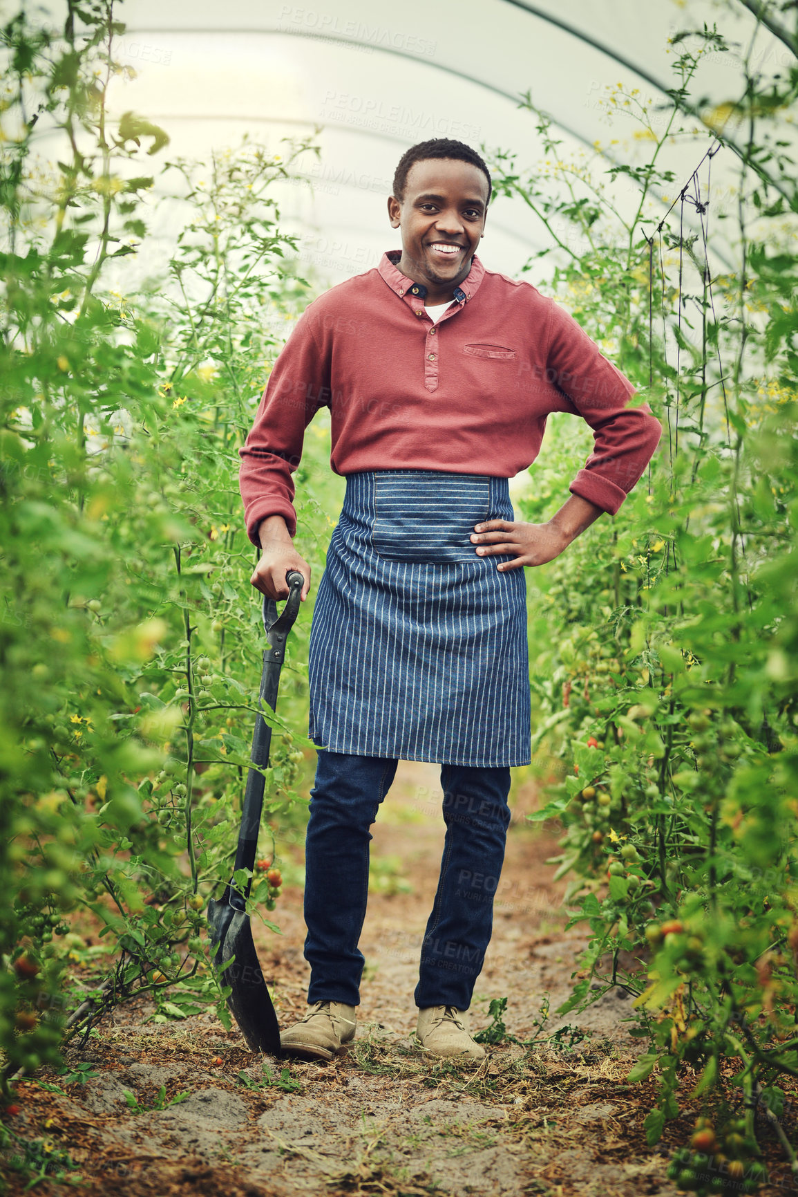 Buy stock photo Black man, portrait and happy at farm with shovel for vegetables, agriculture and crops. Startup, male person and employee with smile for business growth or development as farmer in countryside