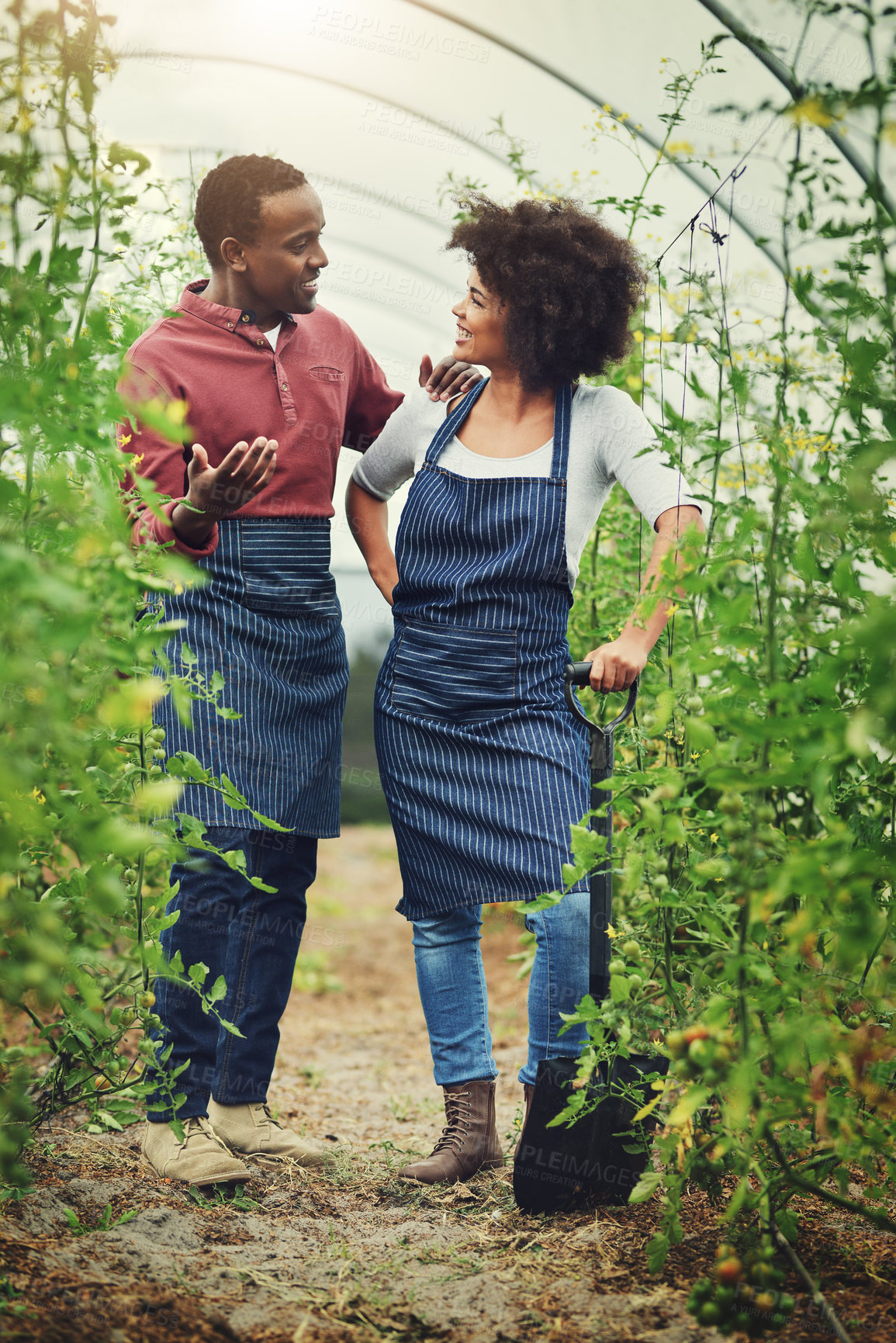 Buy stock photo Black couple, partners and happy at farm with shovel for vegetables, agriculture and crops. Relationship, people and smile with conversation in confidence for business growth as farmer in rural