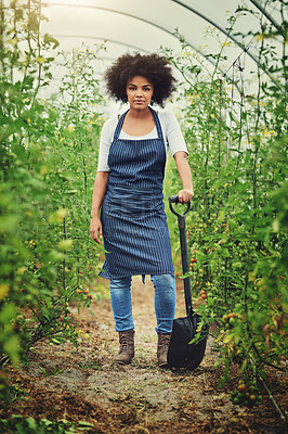 Buy stock photo Woman, portrait and confident at farm with shovel for vegetables, agriculture and crops. Startup, female person and employee with pride for business growth or development as farmer in countryside