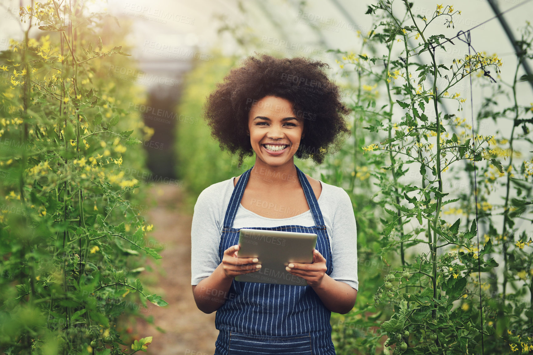 Buy stock photo Happy woman, portrait and conservation with tablet in greenhouse for crops, harvest or natural agriculture. Young, female person or farmer with smile on technology for fresh production in Ethiopia