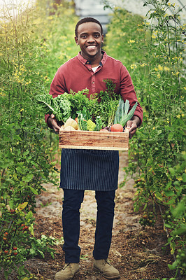 Buy stock photo Smile, farmer portrait and black man with vegetables in crate for eco friendly, harvest and cultivation in nature. Happy, worker and agriculture in greenhouse for sustainable, organic and farming