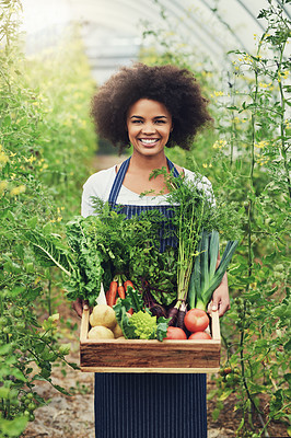 Buy stock photo Portrait, crate and woman with vegetables in greenhouse for sustainable, gardening and production. Smile, worker and basket with harvest in nature for eco friendly, cultivation and organic farming