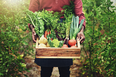 Buy stock photo Shot of an unrecognizable male farmer carrying a crate of fresh produce