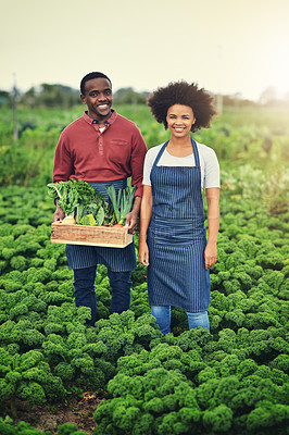 Buy stock photo African couple, portrait and farmer with plants in box for agriculture, harvest or organic food production. Vegetables, happy man and woman at farm with crate for growth or gardening at countryside