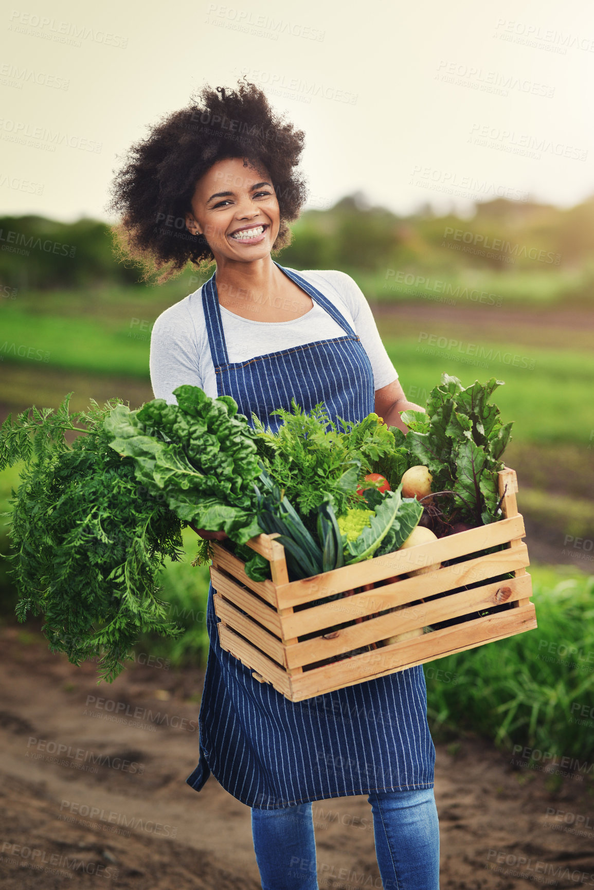 Buy stock photo Farming, portrait and box with woman in countryside for sustainability, environment and vegetables supplier. Growth, plants and agriculture with person in field for permaculture and soil health