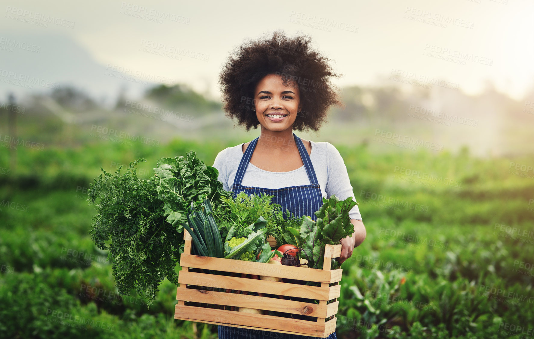 Buy stock photo Shot of an attractive young female farmer carrying a crate of fresh produce