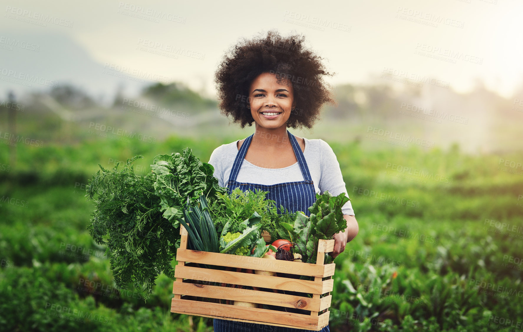 Buy stock photo Agriculture, portrait and box with woman in countryside for sustainability, environment and vegetables supplier. Growth, plants and farming with person in field for permaculture, crate and crops