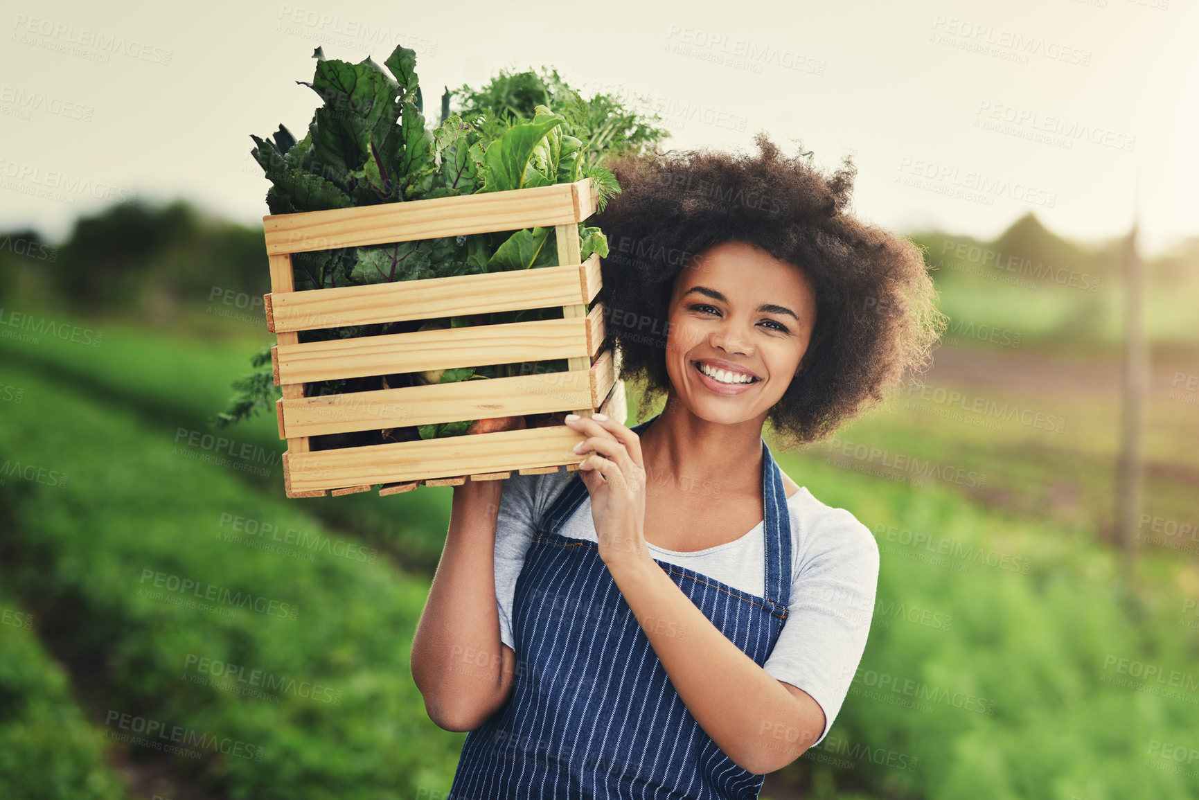 Buy stock photo Agriculture, smile and box with portrait of woman in countryside for sustainability, environment and vegetables supplier. Growth, plants and farming with person in field for permaculture and harvest