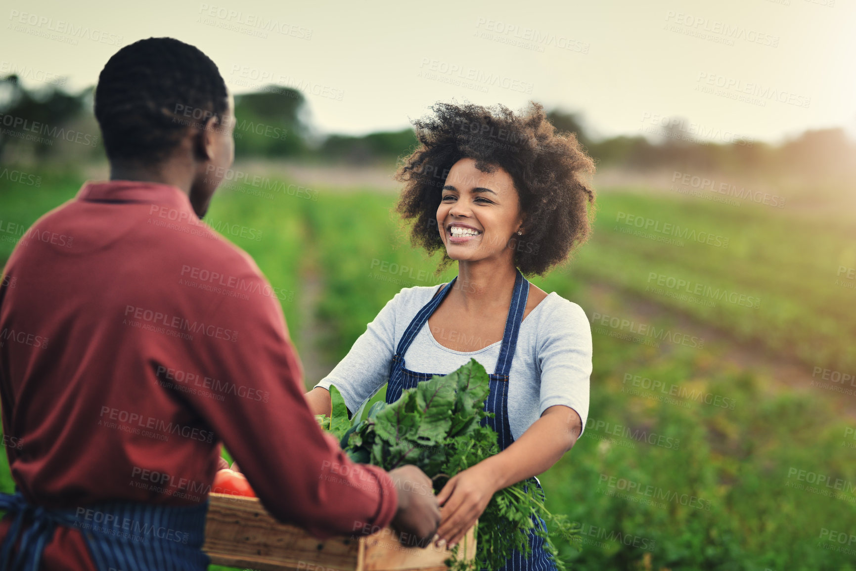 Buy stock photo Cropped shot of a young farm couple carrying a crate of fresh produce